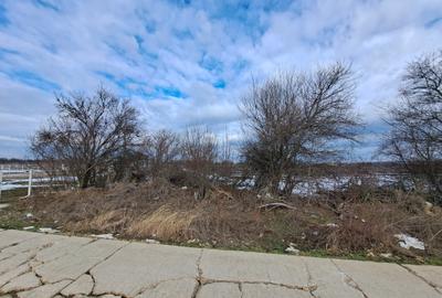 TEREN SNAGOV LANGA ARTIST THE BARN - 1