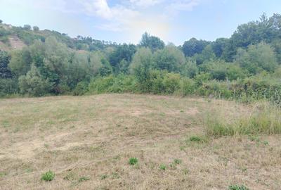 2 Parcele de teren extravilan zona Bradet Pret 3000eur/ar neg usor - 7