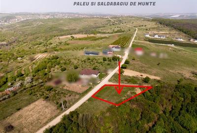 RECO Teren intravilan, dublu front, Saldabagiu de Munte - 3