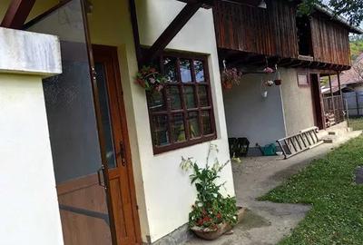 Proprietate cu potențial generos în Lunca Mare - Prahova - 5