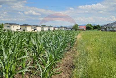 Casă / Vilă, teren 1700mp,  în Lisaura-Ipotești, Suceava - 37