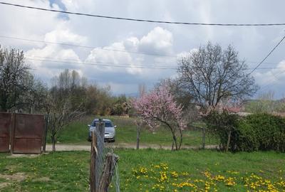 OPORTUNITATE UNICĂ ÎN TOMȘANI (LÂNGĂ HOREZU) – ANSAMBLU TERENURI 9.364 MP - 1