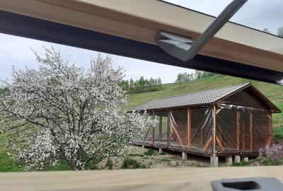 Cabana de vanzare, 8000 mp teren intravilan. Plopi - 4