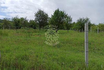 Teren 1000mp+cota drum-ideal cabana/investitie-panorama-Valea Rusului - 2