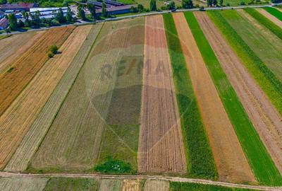 TEREN extravilan- 6 E/MP- CU PLANTATIE DE TRANDAFIRI! Teliu 7000mp - 4