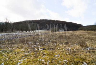 Teren extravilan pentru constructii de vanzare in Popesti - 1