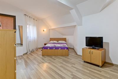Casa individuala Comuna Berceni | Garaj incalzit | Teren 500 mp | Curte 300 mp - 5