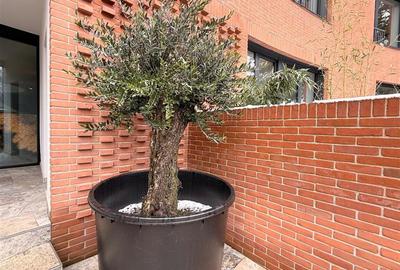 Apartament 4 camere, superb Pipera, cladire exclusivista, 250mp curte - 14