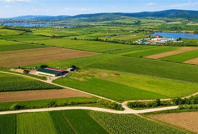 FILM! 18.000 mp, extravilan, agricol+ constructii:ferma,investitii agricole, Rot - 5