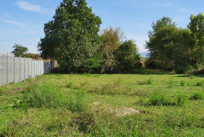 Proprietate 2950mp - Imprejmuit + Container. Podu Oltului, la strada principala - 1