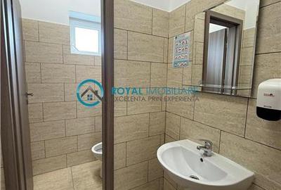 Royal Imobiliare-  Spatiu Industrial Zona Exterior Vest - 31