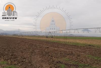 Oportunitate unică în Rasnov: Teren extravilan de 10,000 mp la 50,000 euro - 10