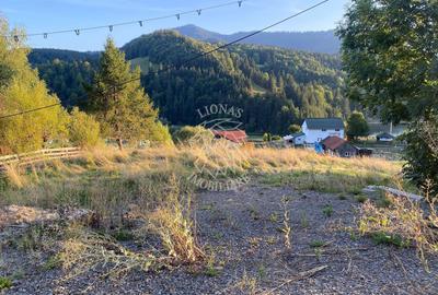 Teren Intravilan 1000mp-panorama-oportunitate investitie-Colibita - 2