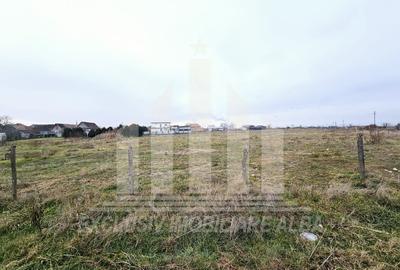 Teren intravilan | De vanzare | 5500 mp | 20 ml deschidere | Sebes - 4