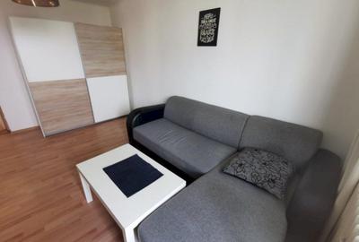 Apartament 2 camere Drumul Taberei - 20 m metrou Raul Doamnei! - 11