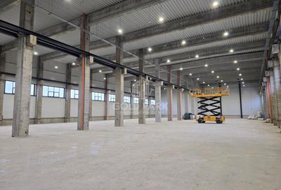 Spatiu Industrial-Mihai Viteazu/Zona Autostrazii A3-Constructie Noua - 3