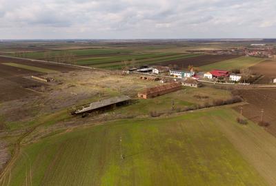 Fermă cu teren intravilan de 35000 mp în Mișca - 11