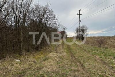 Teren intravilan 791 mp utilitati langa parcela front 13 m Cisnadie - 4