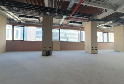 Comision 0! Inchiriere spații birouri in zona Piata Victoriei - de la 107mp - 9