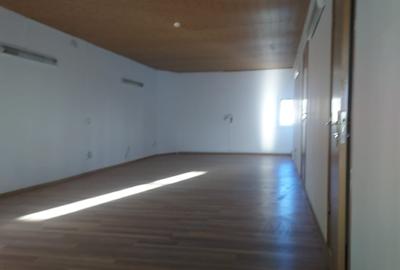 MIHAI BRAVU-METROU,VILA 9 CAMERE,LIVING 75 MP,400 MP,P+1+M,CURTE 300 M  2200 eur - 22