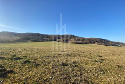 Teren de 7.500 mp de vânzare în Bradu, Avrig-COMISION 0% – lângă râul Olt. - 1