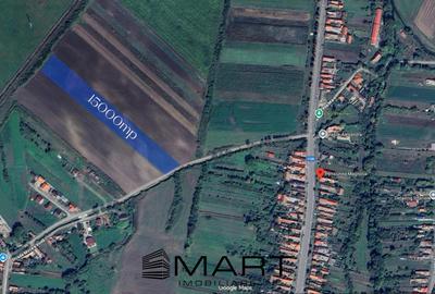 Teren Extravilan 15.000 mp Prejmer - 5