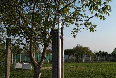Teren intravilan cu vedere spre Lacul Buftea - 10