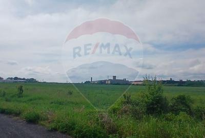 Lider in Logistica/Industrial: 4,6 Ha Intravilan langa COS Targoviste - 7
