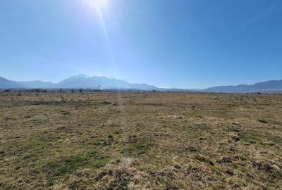 Teren Rasnov spre Bran pretabil investitie 4 euro/mp - 3