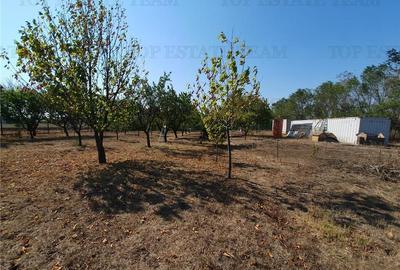 Teren intravilan agricol si teren curti constructii Lot 2 Parcela A326/49 - 12