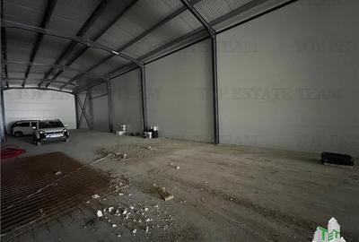 Spatiu comercial stradal, cu toate utilitatile stradal, la 100 m de A 1, pretabi - 21