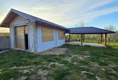 OPORTUNITATE!!! Casă cu iaz – cadru natural deosebit, la 17 km de  Pascani - 5