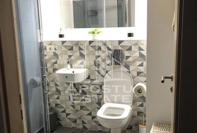 Apartament cu 3 camere de inchiriat, Take Ionescu, Timisoara - 7