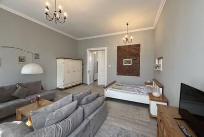 Apartament cu o camera în clădire istorică ,zona Maria - 12