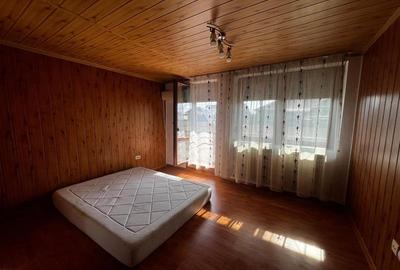 Casa P+M cu anexe in Vladimirescu - 6