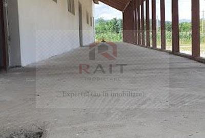 Hala de Inchiriat Godeni Arges - 1