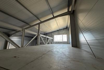 Hala depozitare/ productie 250 mp de inchiriat, Tatarani, acces TIR - 12