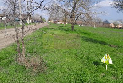 DE VANZARE TEREN 3400 MP IN SAT PODU ILFOVAT / COM BUTURUGENI (GR) - 31