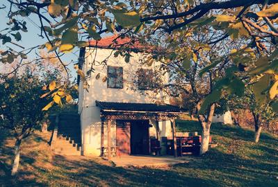 Investiție rară în Bihor - 13