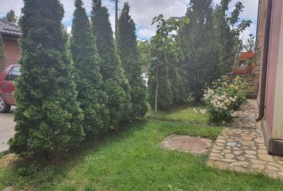 Apartament | 3 Camere | Buftea | 2 Parcari | Parter | Gradina - 20