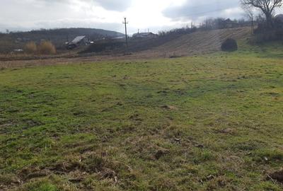 Loc de casa intravilan la Stancesti - 2