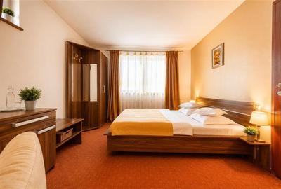 Vila + pensiune, pe 1.500 mp teren, Drumul Poienii, Brasov - 9