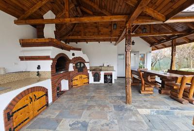 Pensiune Jiblea Veche - 1