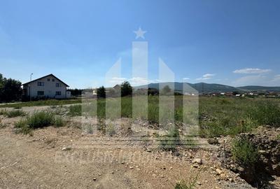 Teren intravilan | 3250 mp | 19.7 ml deschidere | Alba-Micesti - 2