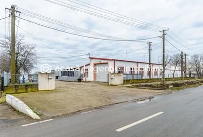 Hale depozitare/producție 2.000 mp si 10.000 mp teren în Pecica - 11