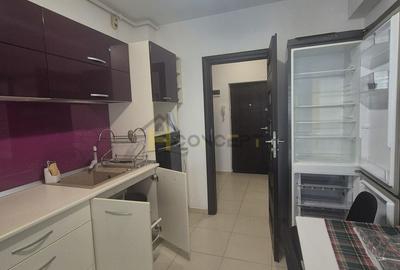 Inchiriere apartament 2 camere plus birou Laurentiu Raiciu - 7