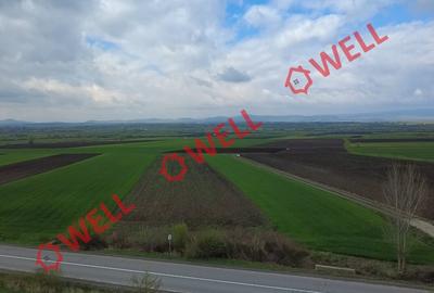 Teren intravilan de vânzare în Bicfalău! - 4