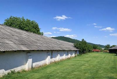 Spatiu comercial/Industrial multifunctional: productie, depozitare, logistica, R - 1