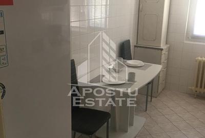 Apartament 3 camere, de inchiriat,zona Take Ionescu-Timisoara - 9
