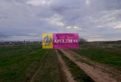 Teren 1055 MP București Sector 4 cu Certificat de Urbanism - 13